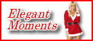 Elegant Moments のサンタドレス、クリスマスランジェリー