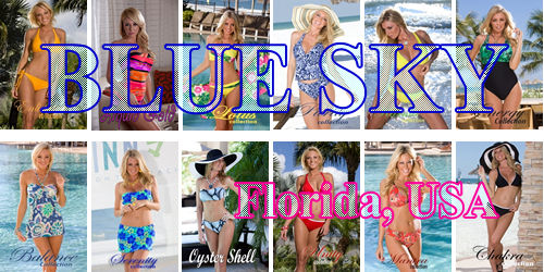 Blue Sky �����ʔ� �S���i���X�g