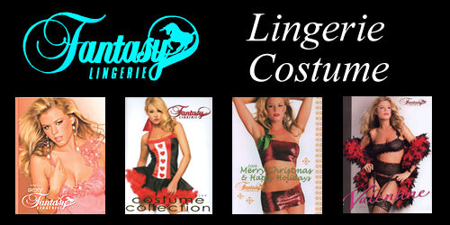 Fantasy �Z�N�V�[�����W�F���[ & �R�X�`���[�� �S���i���X�g