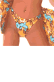 Island Ferver Califomia Bottom