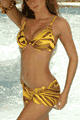 Samba Underwire Top