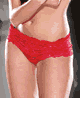 Raschel Stretch Lace Panty