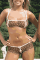 Sheer Lycra Peek A Boo Top and Short