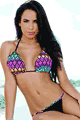 Chica Rica LCRD63-TRI-RIO