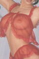Cheeeky Sheer Cami-Set
