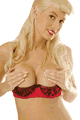 Satin Push-up Shell Underwire Bra