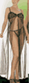 Dragon Fly Mesh and Lace Long Gown