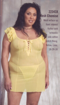 Lace Up Front Mesh Chemise