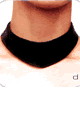 Vinyl Choker