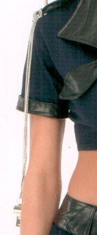 Whistle