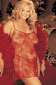 Soft and Shiny Chemise with G-String