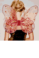 Jeweled Butterfly Organza Wings