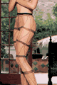 Lycra Sheer Pantyhose