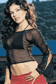 Long Sleeve Fishnet Top