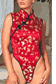 Exotic Butterfly Brocade Teddy