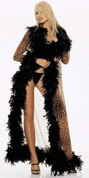 Leopard Prints Lycra Mesh Feather Coat
