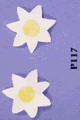Daisy Pasties