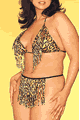 Wild Instincts Jane Bra and Thong Set