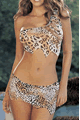 Animal Print Spandex Mesh 2pc Set