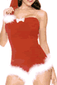 Lady Cat LSL24702