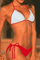 Brazilian Bling Bikini