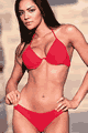 Fortune Low-Cut Bikini