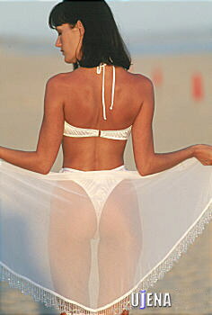Sheer Beaded Sarong