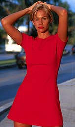 Favorite Shirt Dress