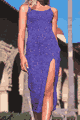 Purple Princess Dress