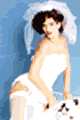 Lady Cat LLA8780