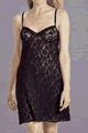 Lady Cat LZZLB12-0116-9
