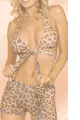 Lady Cat LEM7857