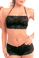Lady Cat LDB9003