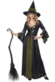 Lady Cat Express お勧めコスチューム LCC01350 Classic Witch Costume