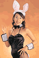 JJG7026 NEWセクシーバニー