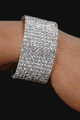 Desire Fashions LDF2505 お勧めアクセサリー