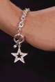 Desire Fashions LDF508 お勧めアクセサリー