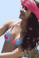 輸入水着 LORCO90501 Cocoa serie5 Bikini Top