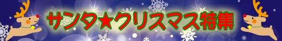 サンタ・クリスマスコスチューム