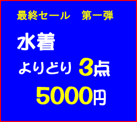 最終セール 水着3点5000円