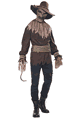 Killer in the Cornfield Costume