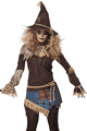 California Costumes ＜Lady Cat＞ Creepy Scarecrow Costume画像