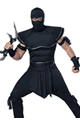 Stealth Ninja Costume