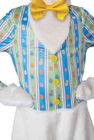 California Costumes 通販ショップ LCC3225-101