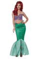 Storybook Mermaid Adult Costume
