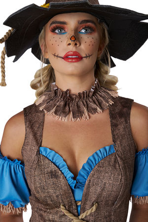 California Costumes 通販ショップ LCC5025-123