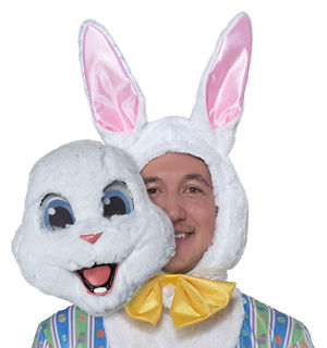 California Costumes 通販ショップ LCC5226-017