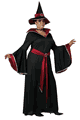 ハロウィン仮装 魔女コスチューム LCC8025-079
