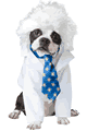 California Costumes ＜Lady Cat＞ AI-bark Einstein Dog Costume