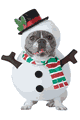 California Costumes ＜Lady Cat＞ Snowman Dog Costume